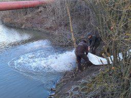 0322_P2_Tisza és holtágak_21