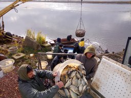 1104_P2_HECSMSZ_11