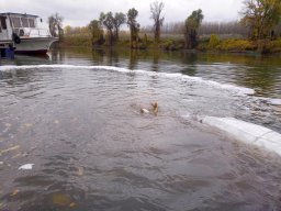 1104_P2_HECSMSZ_16