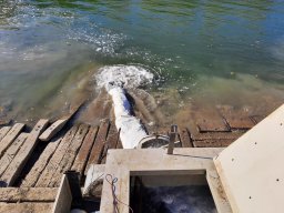 1028_P2_TISZA_22