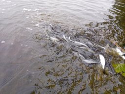 1008_MATY-ATKA_22