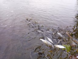 1008_MATY-ATKA_23