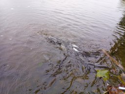 1008_MATY-ATKA_24