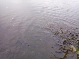 1008_MATY-ATKA_25