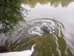 0927_TISZA-MAROS_26