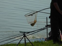 0605_CSMEB_MATY_25