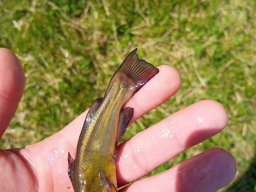 0605_CSMEB_MATY_34