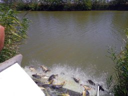 0810_P3_MATY-GYALA_28
