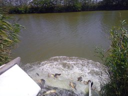 0810_P3_MATY-GYALA_29
