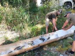 0816_P3_Tisza-Atka_Algyőicsat_23