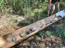 0816_P3_Tisza-Atka_Algyőicsat_25