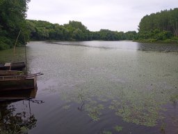 0617_Pelő_12