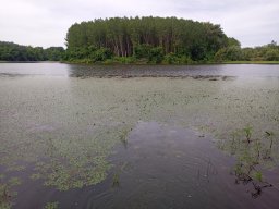 0617_Pelő_13