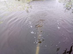 0617_Pelő_14