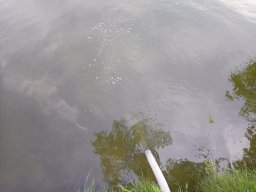 0617_Pelő_16
