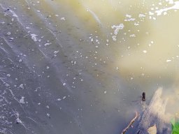 0617_Pelő_24