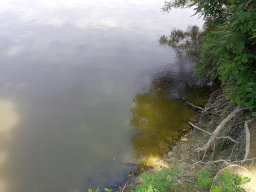 0617_Pelő_26