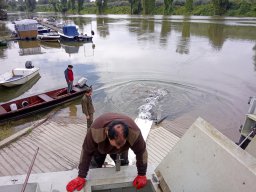 0922_SZH_TISZA_23