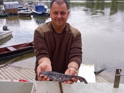 0922_SZH_TISZA_29