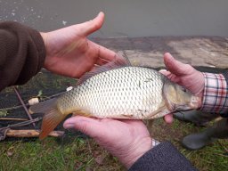 0927_P2_HECSMSZ vizek_25