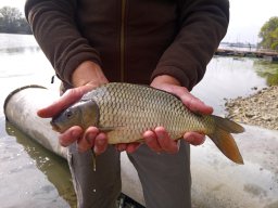 0927_P2_HECSMSZ vizek_39