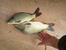 0927_P2_HECSMSZ vizek_48