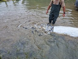 0927_P2_TISZA_27