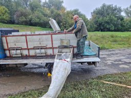 0927_P2_TISZA_28
