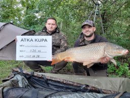 III. Atka kupa (ősz)_24