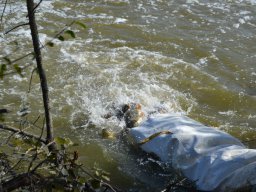 telep_3_20231019_1436229294
