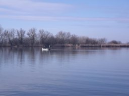 ATKA_54