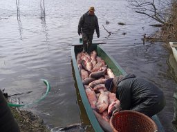 Ökológiai célú halászatok