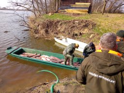 ATKA_71