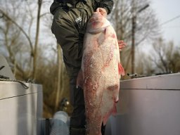 ATKA_90