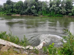 0612_P3_Tisza_26
