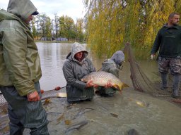 pextra_9_20231116_1590182229