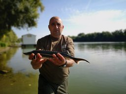 1011_K1_ÁPFE-V_TISZA__23
