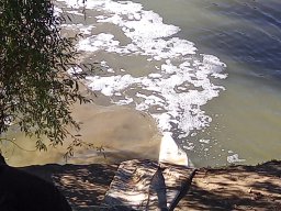 1016_SZH1_ÁPFE_TISZA__28