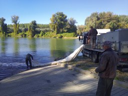 1016_SZH1_ÁPFE_TISZA__37