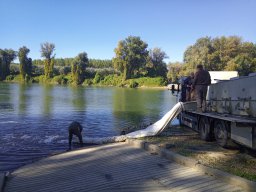 1016_SZH1_ÁPFE_TISZA__38