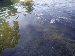 1016_SZH1_ÁPFE_TISZA__41