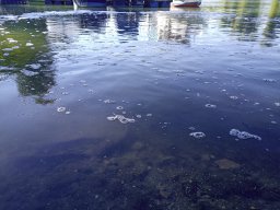 1016_SZH1_ÁPFE_TISZA__44