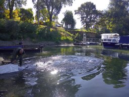 1016_SZH1_ÁPFE_TISZA__51