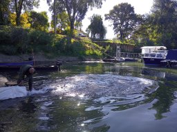 1016_SZH1_ÁPFE_TISZA__52
