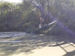 09-12_P3_ECSEG_115