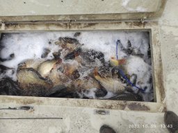 09-12_P3_ECSEG_39