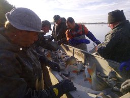 09-12_P3_ECSEG_51