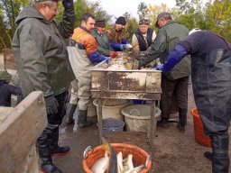 09-12_P3_ECSEG_81