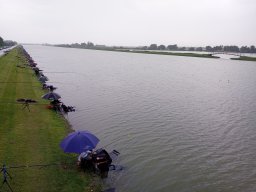 0701_Megyei_egyeni_28