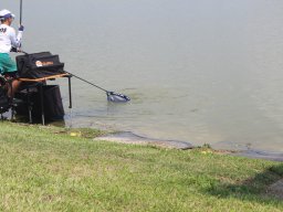 0701_Megyei_egyeni_33
